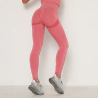 Legging Push-Up | Rose